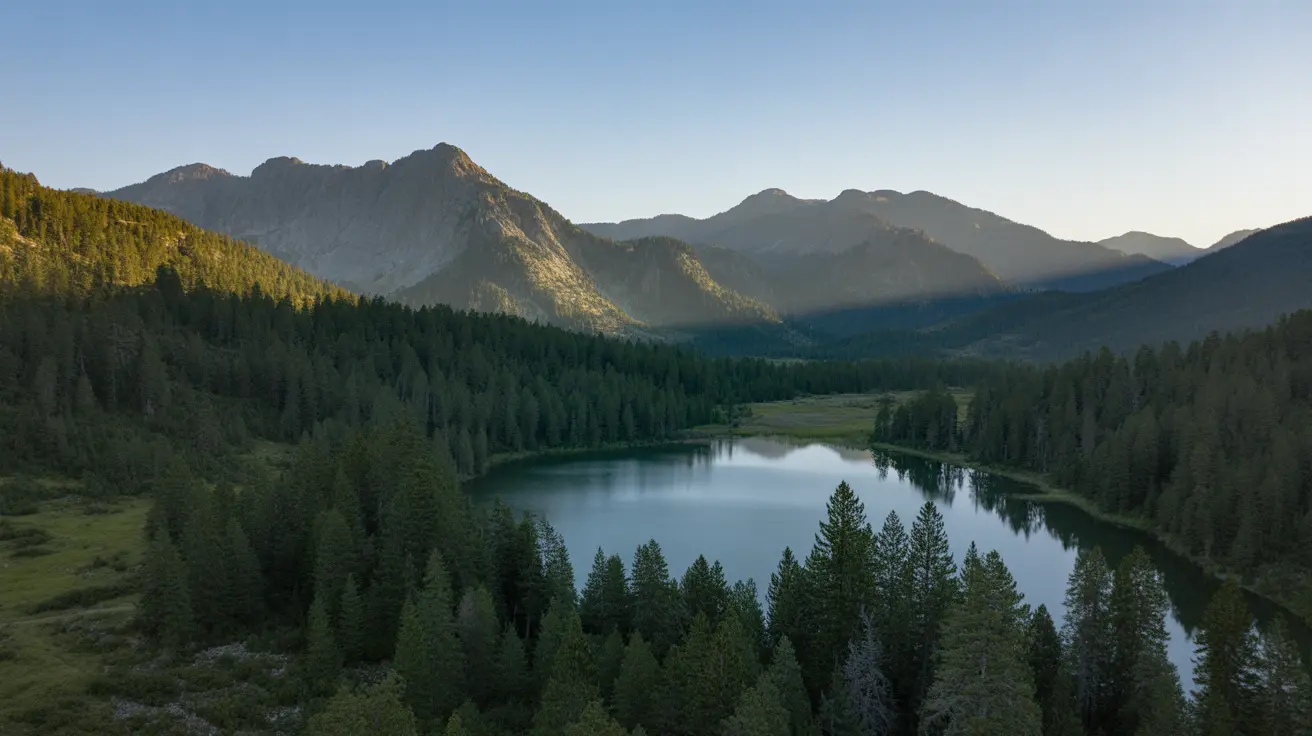 Trinity County, California. Nursing home abuse and elder neglect lawyers serving Trinity County families.